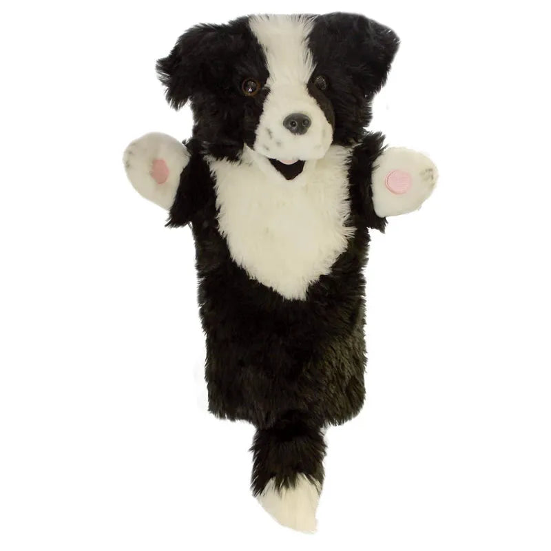 The Puppet Company Long Sleeved Puppet Border Collie is a black and white hand puppet with floppy ears, a fluffy tail, and playful expression. It features a white snout, chest, and paws with the rest of its body covered in black fur.