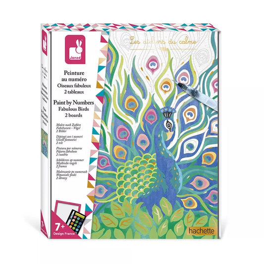 A Janod Paint By Numbers Fabulous Birds box.